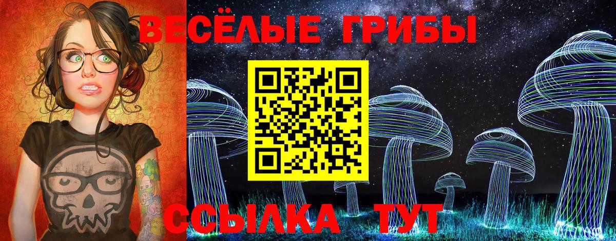 Галлюциногенные грибы GOLDEN TEACHER Павловский Посад